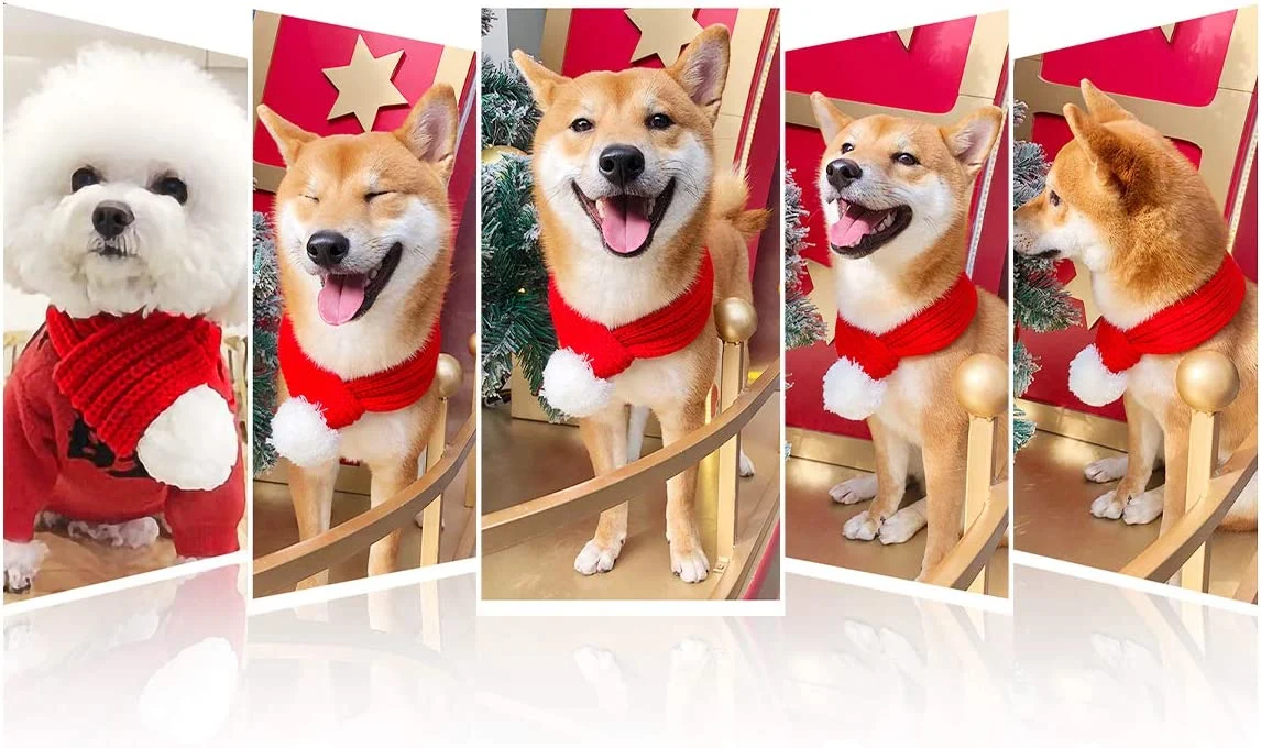 Cão Gato traje de Natal o Natal um lenço vermelho lenço Pet Vestuário Pet