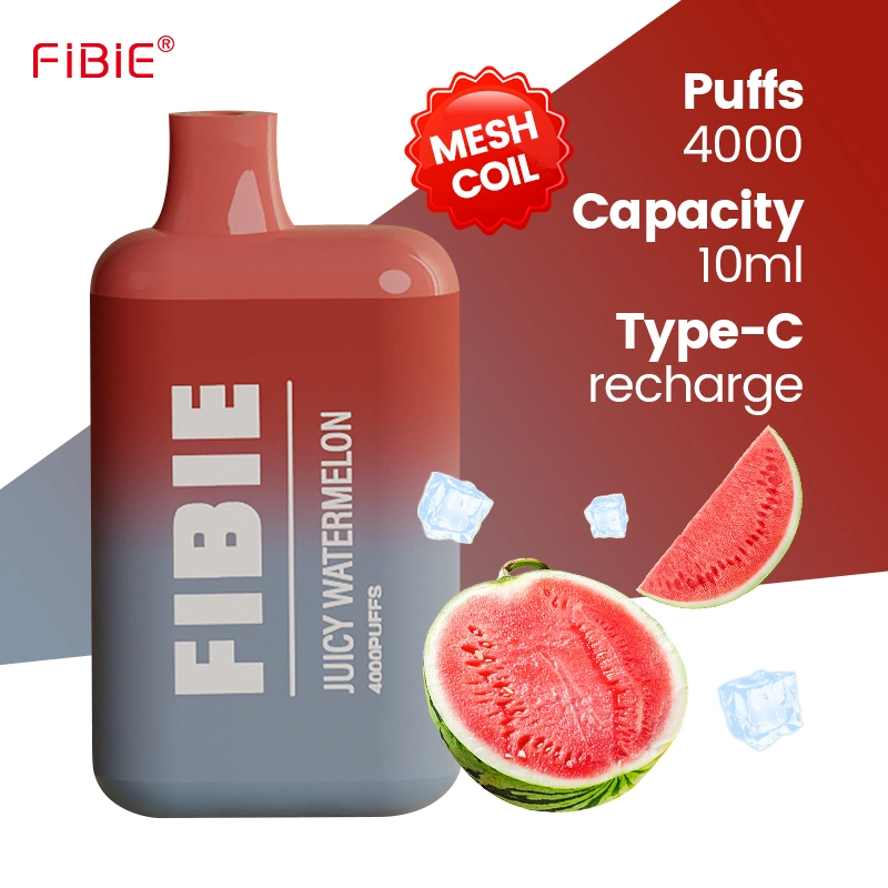 Wholesale/Supplier Electronic Cigarette Fibie 4000 Puff Vaper Mini Rechargeable Lost E Cig Mary Germany Best Price Wape Shisha Randm Disposable/Chargeable Pen Vape