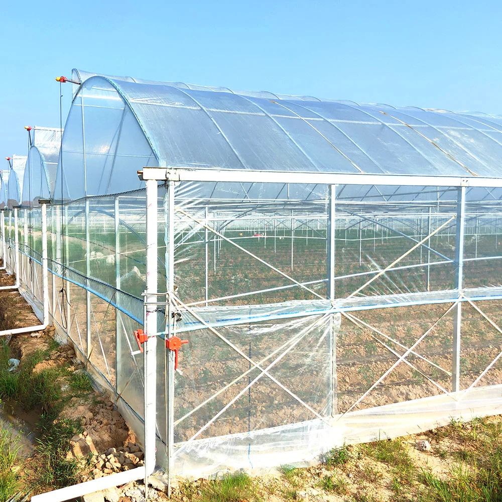 Smart Tunnel/Arch Spectral Resolution Heat Preservation PE/Po Film Agriculture/Commercial Eco Gewächshaus für Tomaten/Gurken/Pfeffer