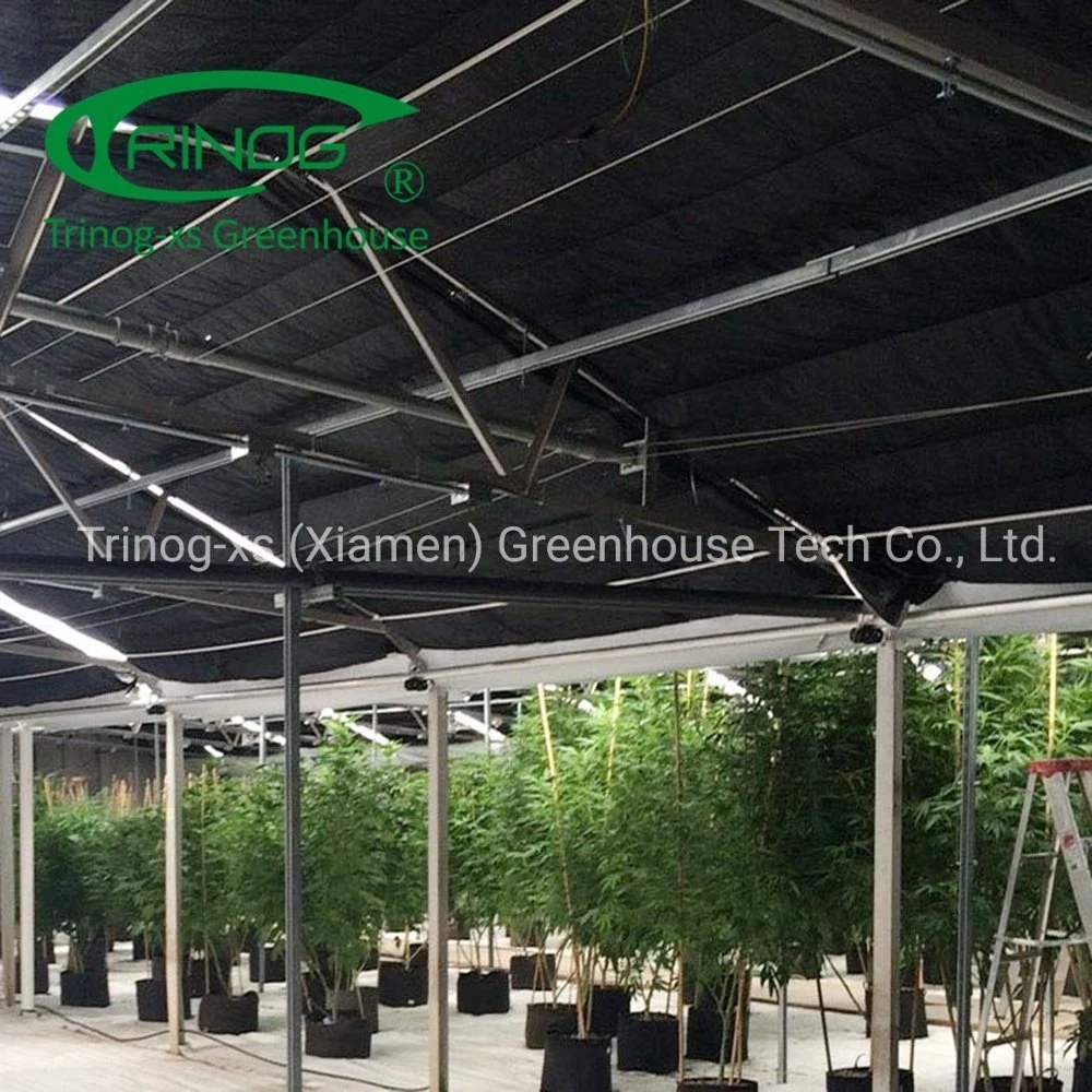 Trinog Greenhouse commercial used LED light deprivation medial plant greenhouses for medical industrial