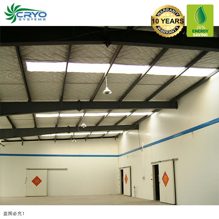 Cooling System Cold Storage Fruits Cooler Room System Cool Room Equipments