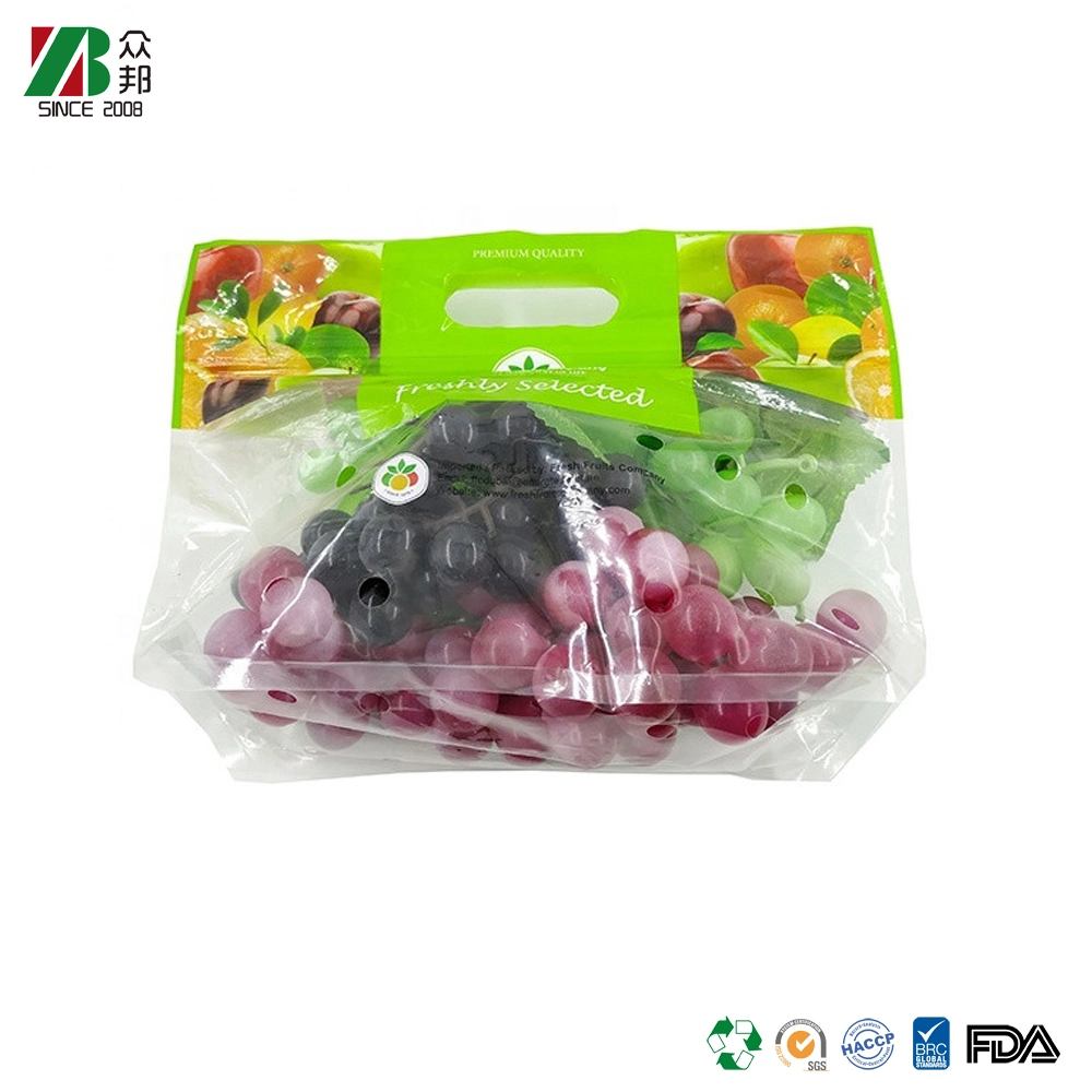 Customize Printed Anti-fog CPP Fresh Fruit Vegetable Packing Bag With Slider Zipper