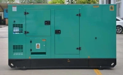 10kW 20kw 30kw 40kw 50kw 60kW 80kw 100kw Saubere Energie Biogasgenerator Für Erdgas