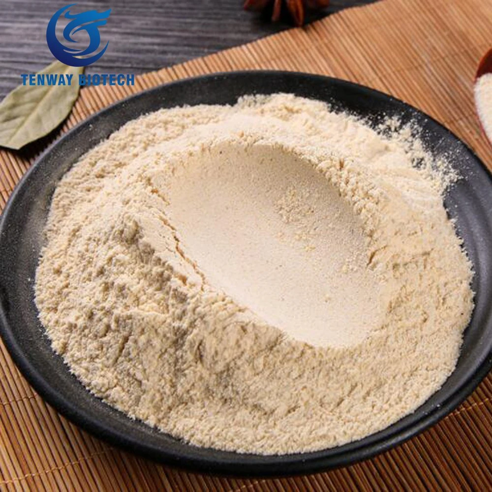 Top Grade Non-GMO Food Ingredient Seasoning Ingredient Natural Sauced Garlic Powder From China Manufacturer