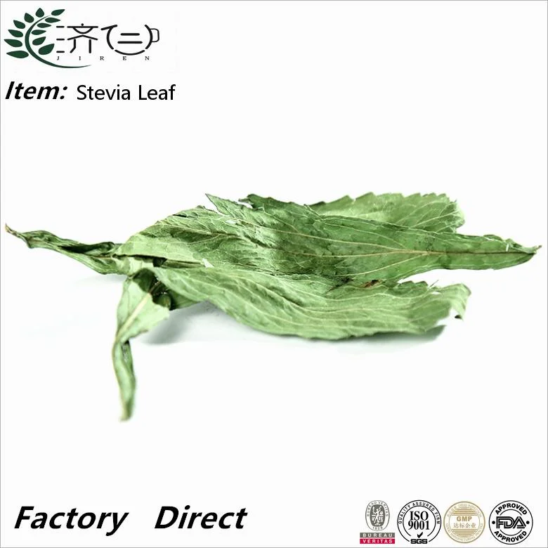 Grande quantité en gros thé de fines herbes séchées Stevia Leaf Herb Stevia