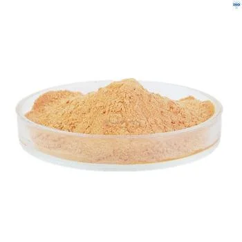 Chemical Materials Raw Material Grade Food Grade /99% Gelatin CAS 9000-70-8