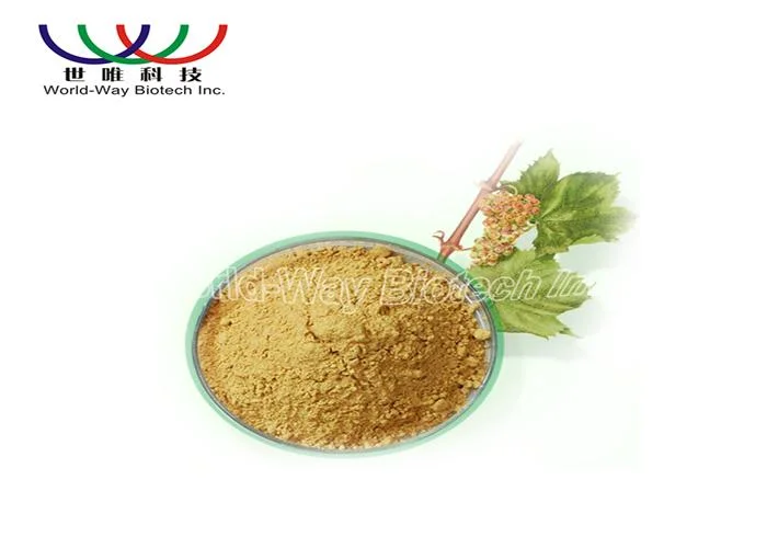 Chinese Tranditional Medicine of Ginger Root Extract Gingerols