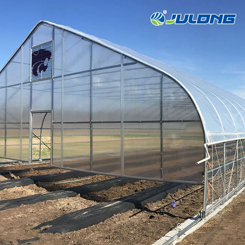 Greenhouse Recommendation High quality/High cost performance Single Span Plastic Film Greenhouse with Hydroponics System for Tomato/Lettuce/Cucumber/Herb Growing