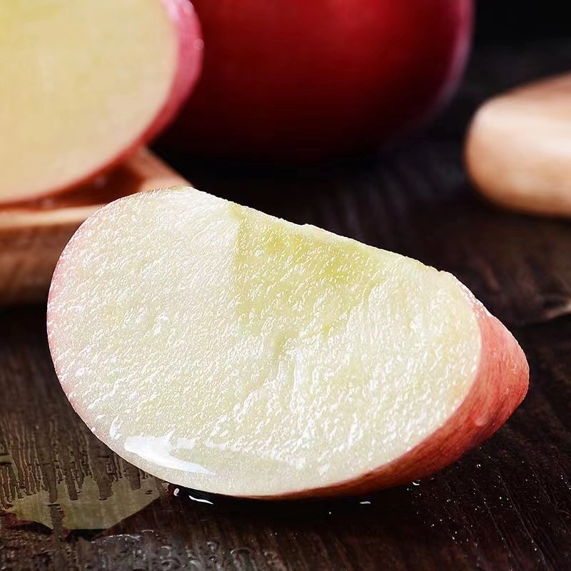 Dried Fruit Market Selected Quality Fresh Red Apple Japanese FUJI Apple