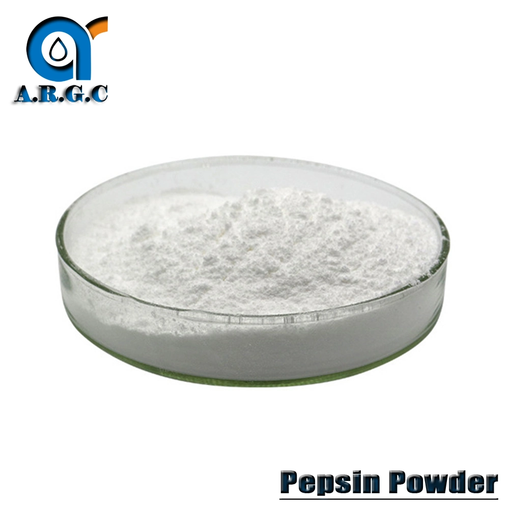 Food Grade Pepsin Enzyme Powder 99% CAS 9001-75-6