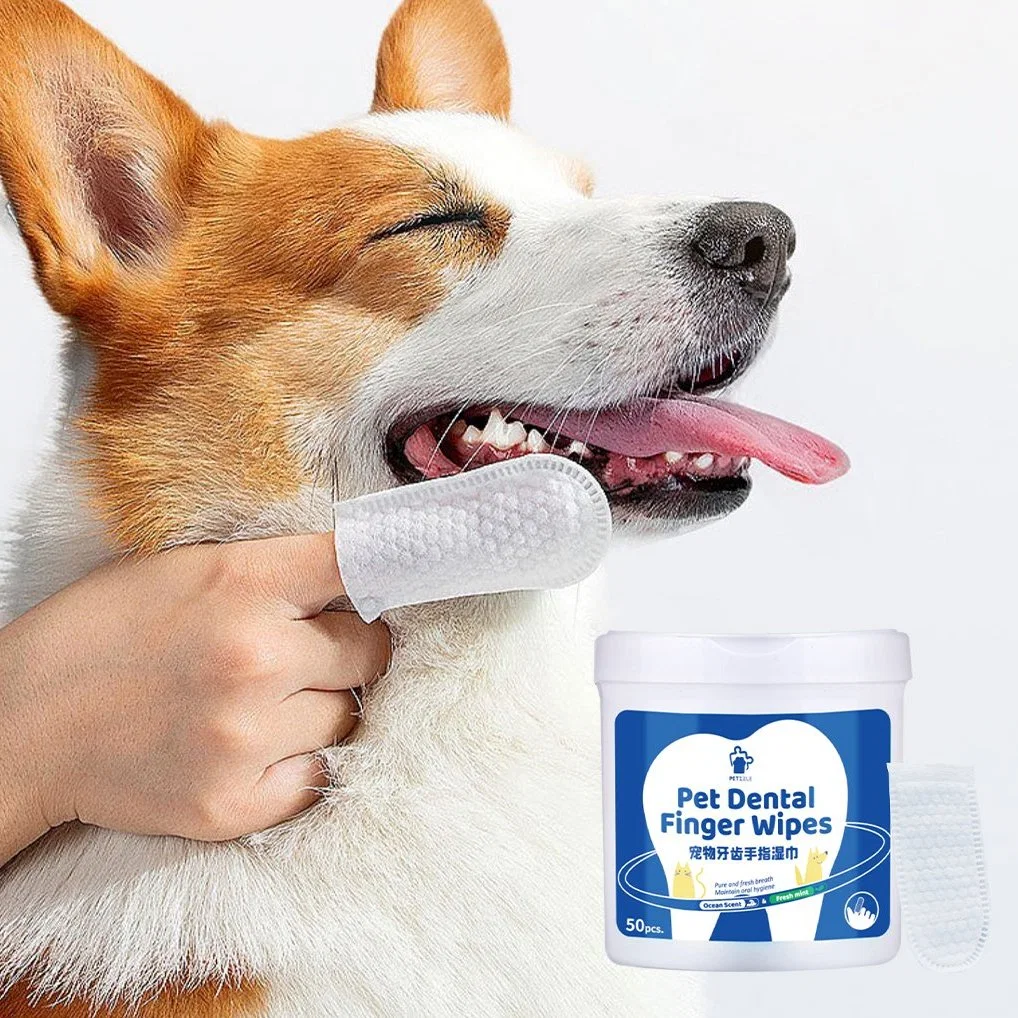 Pet Dental Care Made Easy: Unleash The Power of Pet Wipes