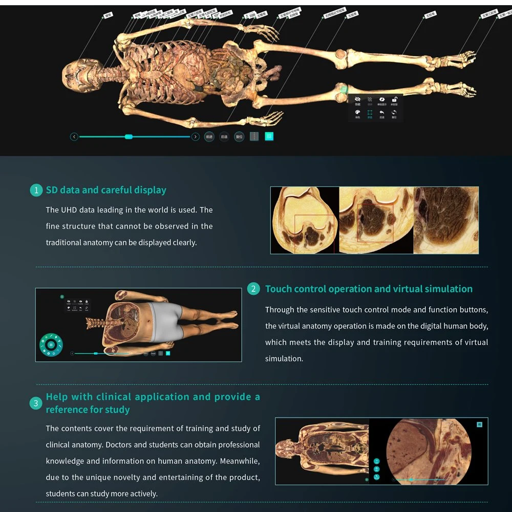 Human Virtual Anatomage 3D Anatomy Table Digital Human Body Virtual Autopsy Dissection Table for School