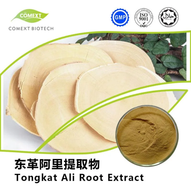 Comext Hot Sale 5% HPLC Eurycomanone Tongkat Ali Root Extract 10: 1-200: 1