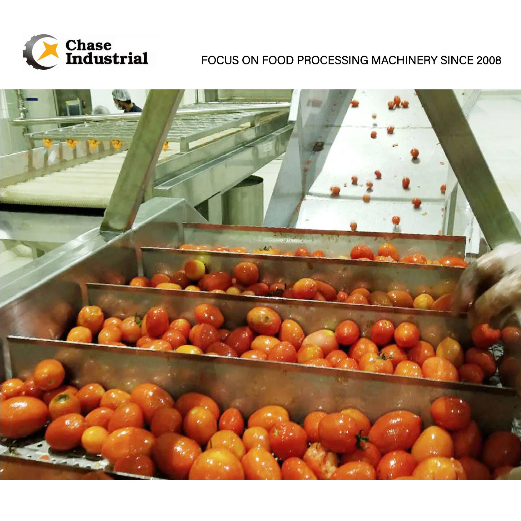 20-1500 Tons Per Day 1 Year Free Service and Life Time Tomato Fruit Processing Line