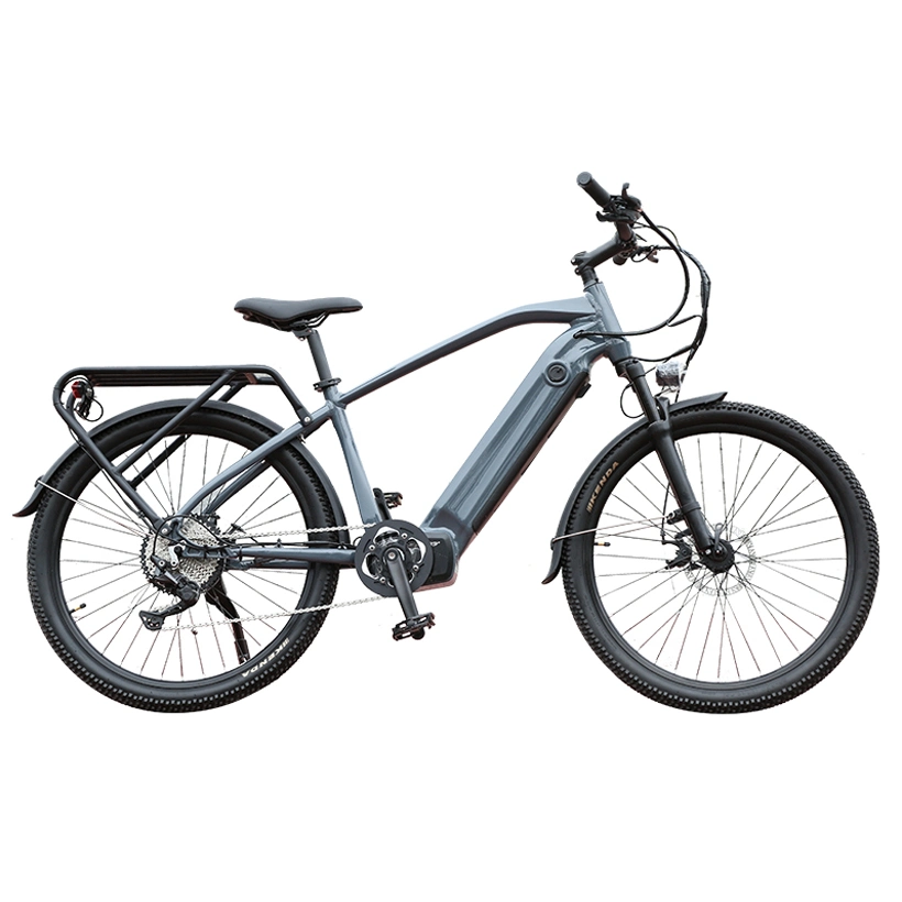Lithium Battery Aluminum Alloy Electric Bicycle Utility Mountain Bike Hub Motor Ebike