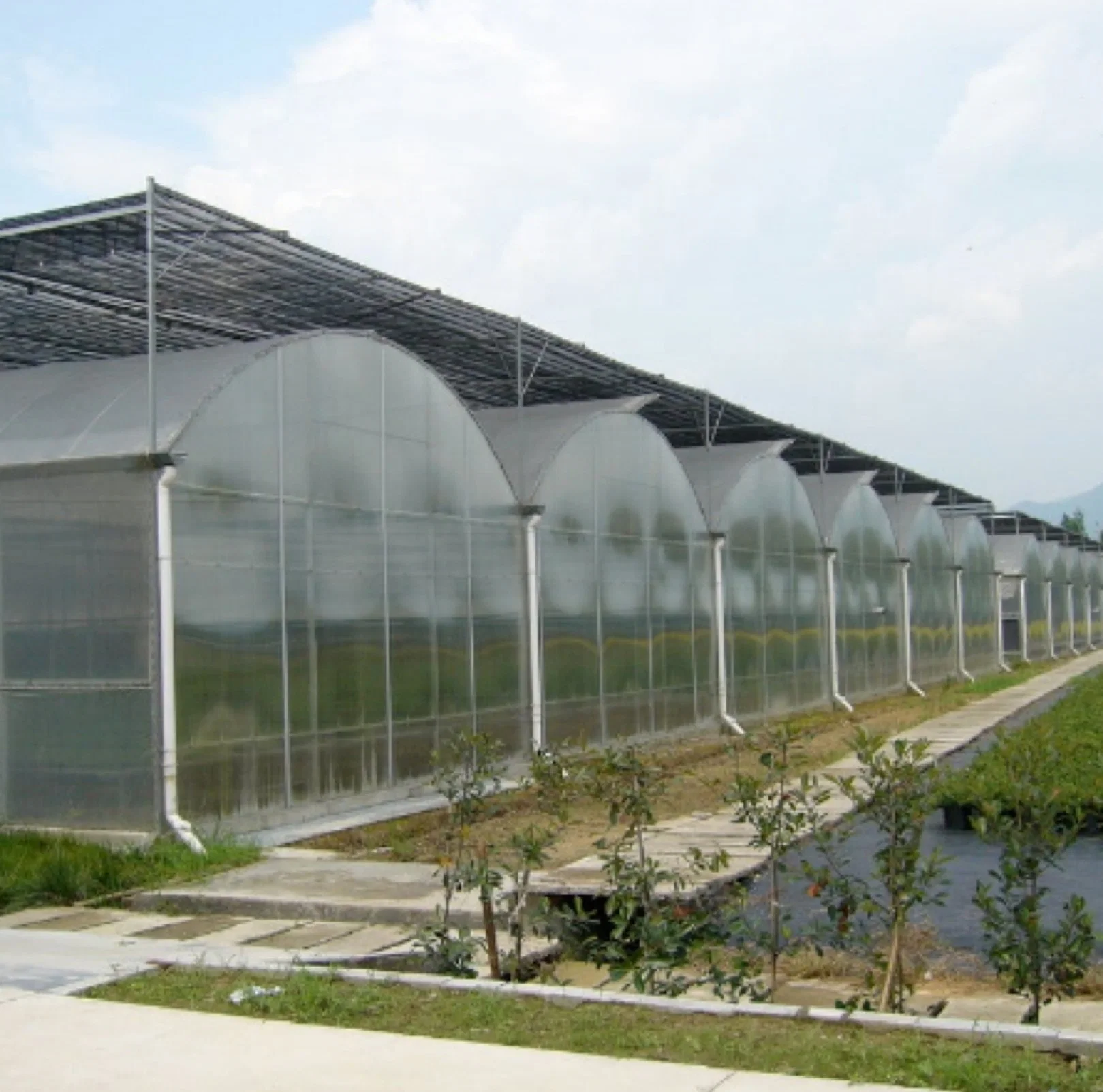 Intelligent Control of High-Tech PC Sheet Hydroponics Multi-Span Agricultural Greenhouses