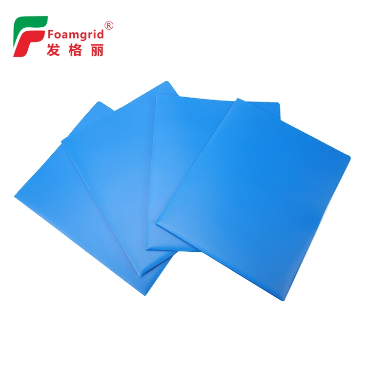 Wholesale/Supplier Cheap Custom Colorful A4 PP Plastic 2 Pocket Document File Folder