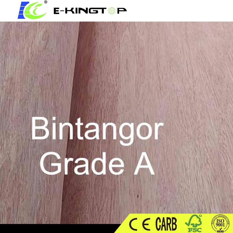 Factory Price Bintangor / Okoume Wood Veneer for Plywood