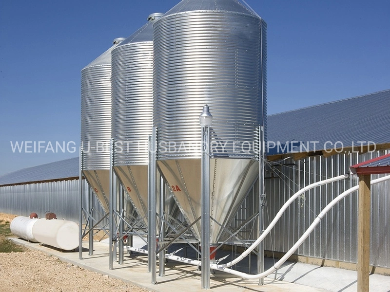 Full Automatic Chicken House Poultry Farm Feeding Equipment for Broiler