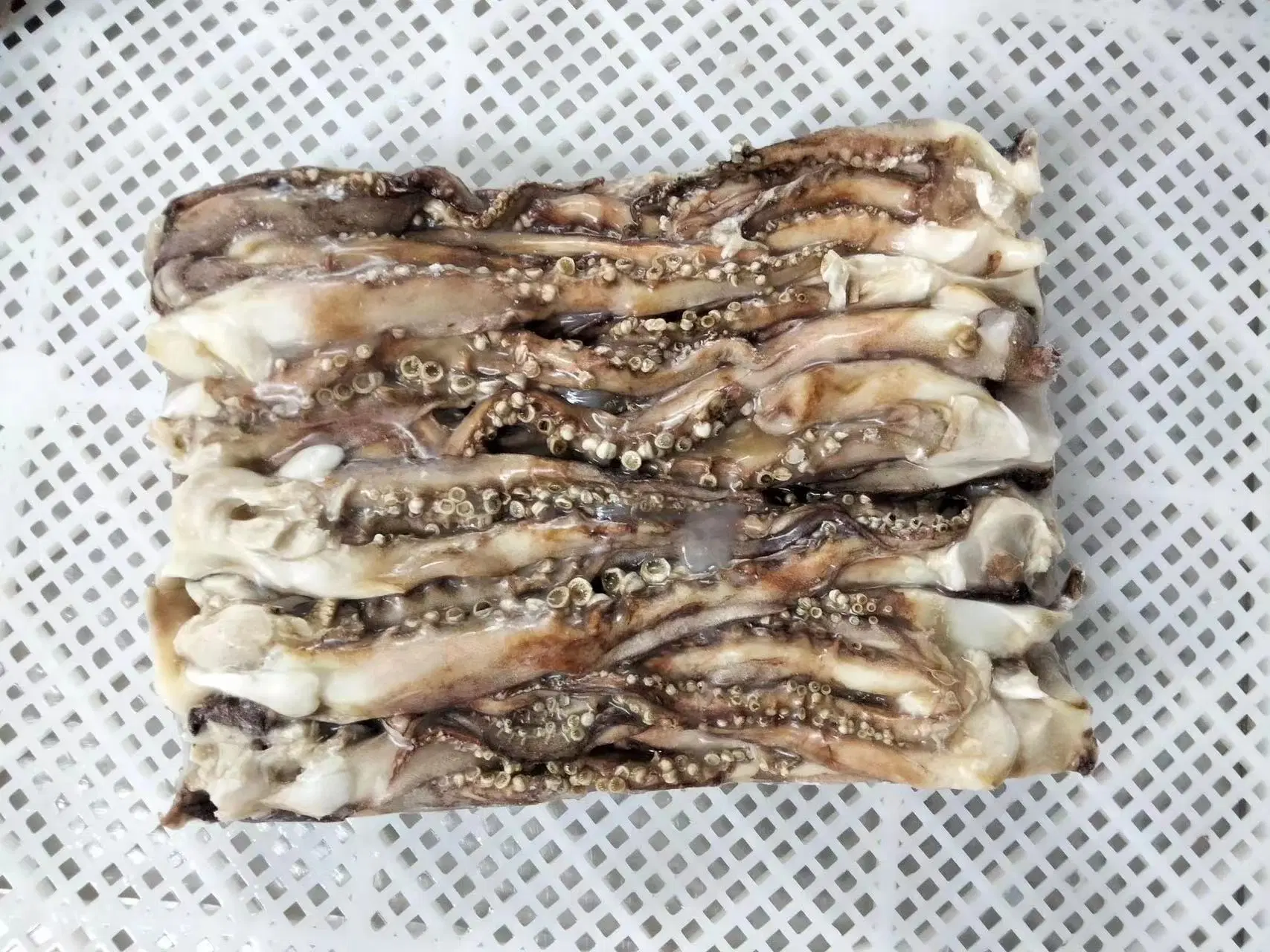 Sana mariscos congelados de alta calidad Gigas/Calamar Calamar Pota tentáculo