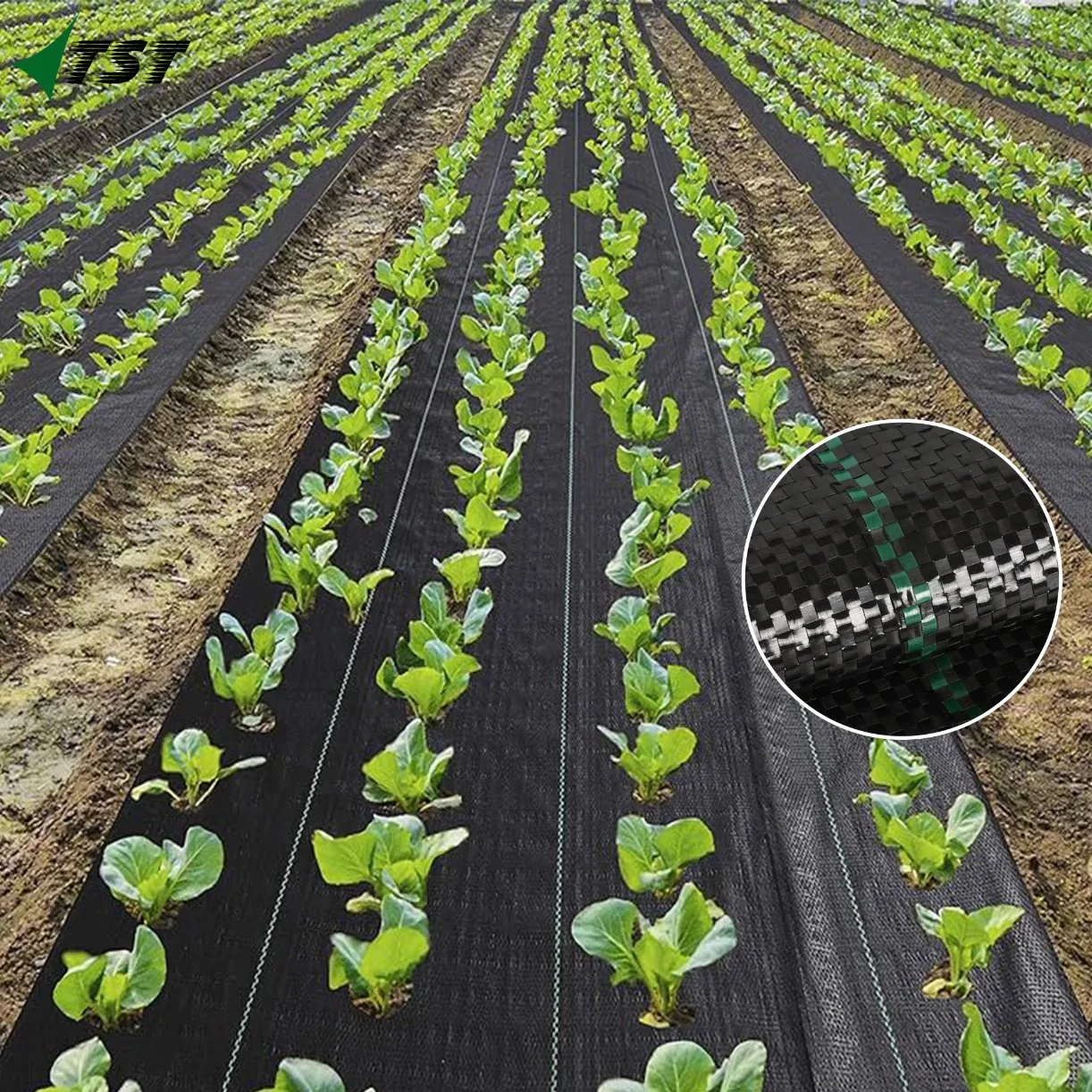 UV Protection PP Agricultural Plastic Weed Mat Ground Cover