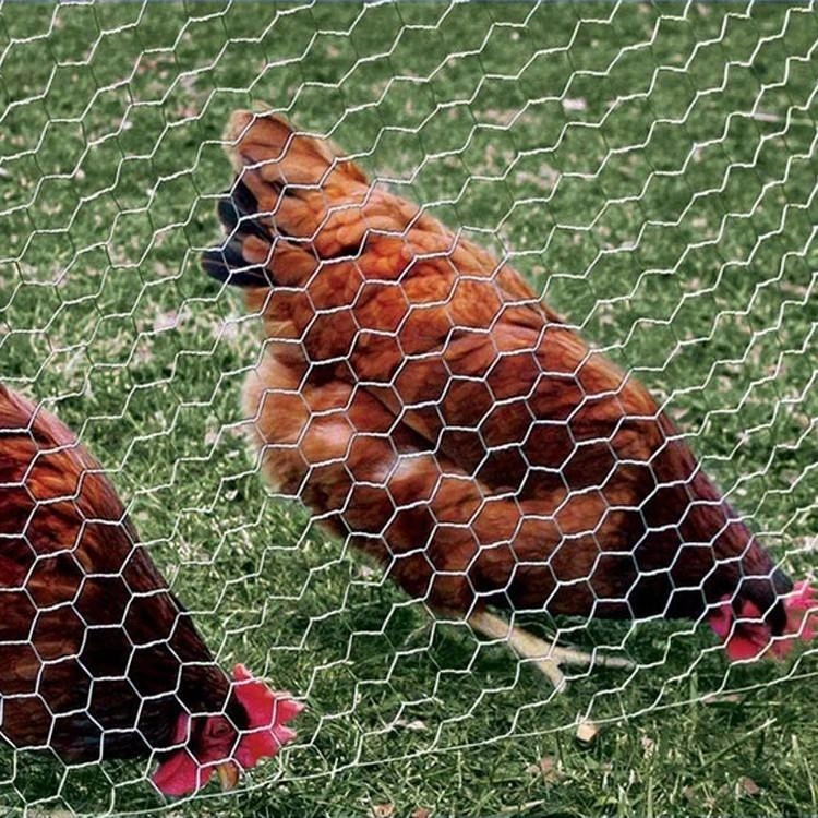 Factory Cheap Chicken PVC Coated Hexagonal Wire Mesh Low Price Hexagonal Poultry Farm Mesh Net