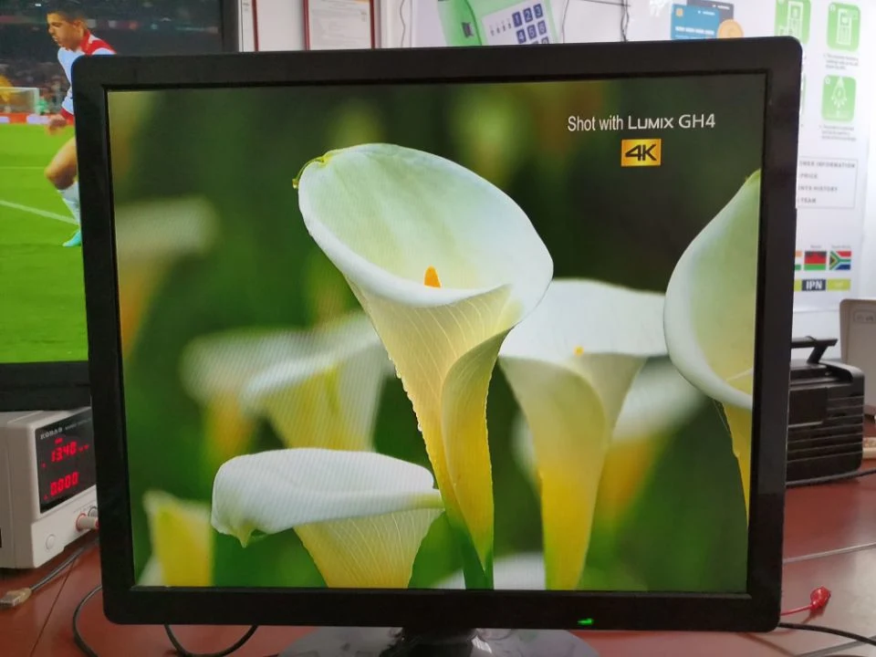 Télévision LED 24 cm avec la télévision Solar Smart 12 V