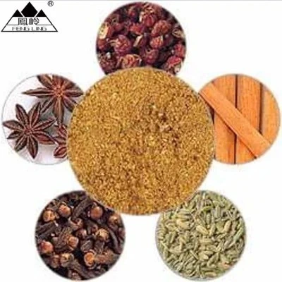 Chinese Traditional Seasoning Five Spice Powder/High quality/High cost performance  Five Spice Powder Supplier