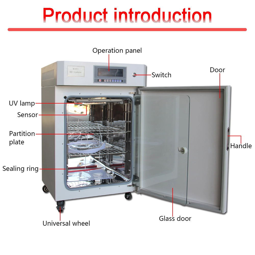 Electrical Thermostat Carbon Dioxide CO2 Incubator Price