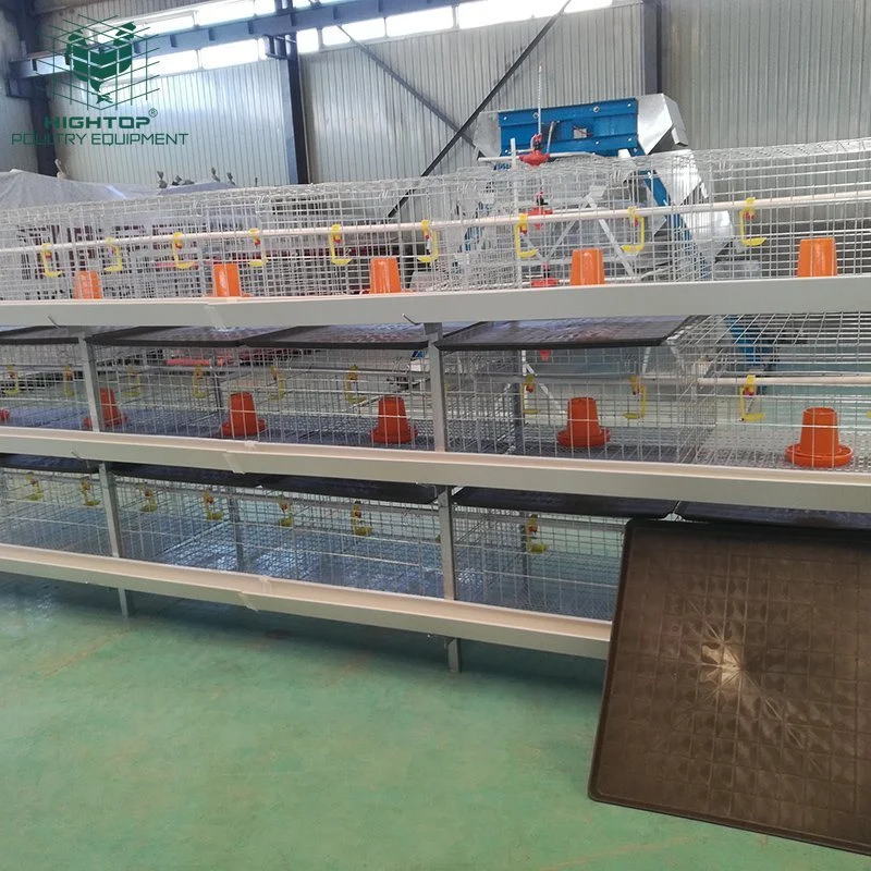 China Hightop Manufactory Poultry Equipment Semi Automatic Three Tiers Galvanized Wire H Type Broiler Cages