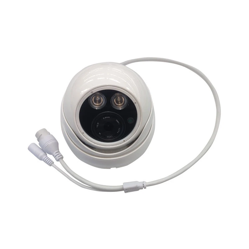 800TV Lines High Speed Dome Security Camera with CE FCC RoHS Certificates