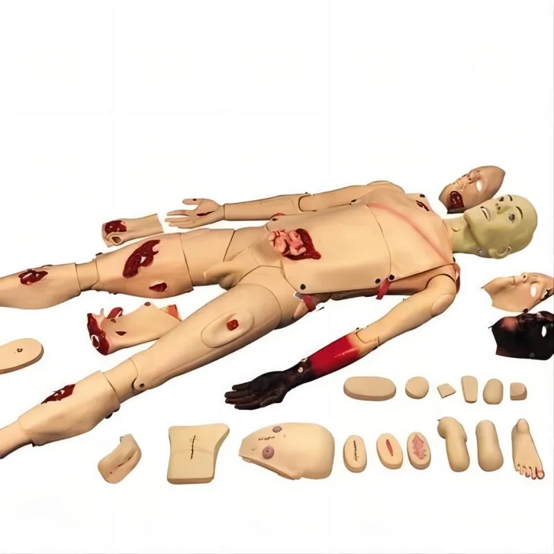 Medical Multifunctional Full-Body Doll CPR Dolls Trauma Simulator Old-Age Full-Fearured Nursing Simulation Manikin