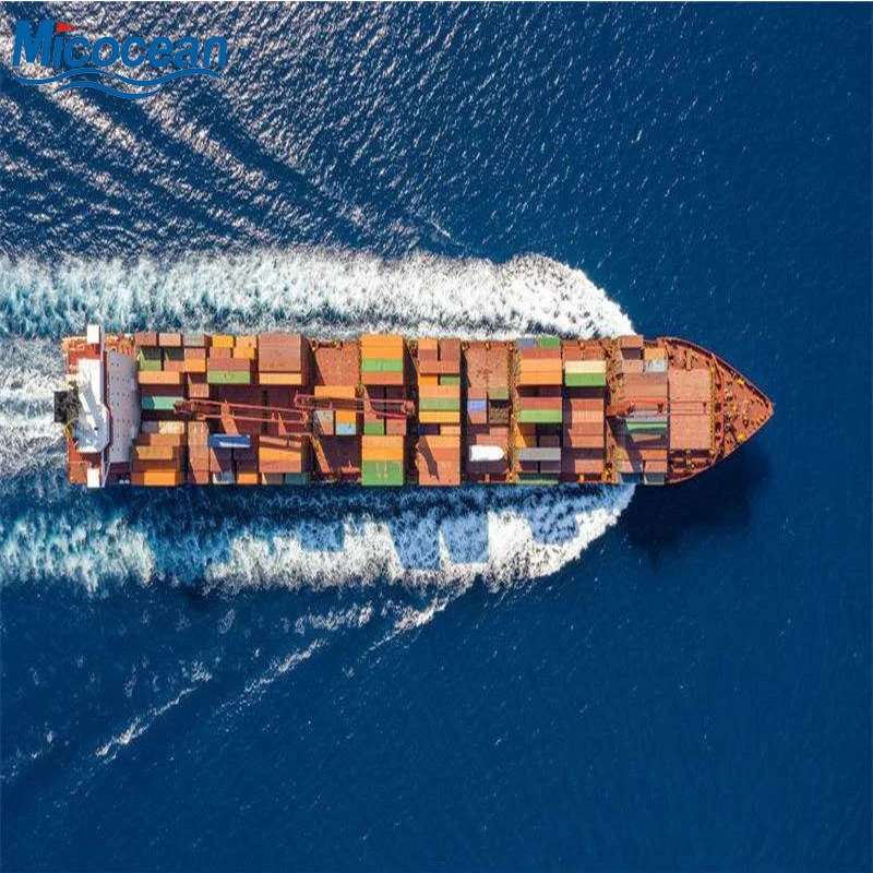 Fast Shipping Logistics Transportation Company Port to Port to San Antonio/Arica/Iquique