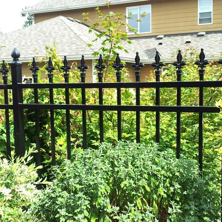 Wrought Iron Spiral Stairs Fence