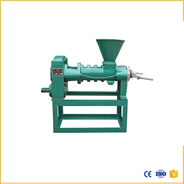 Screw Type Vegetable Seeds Oil Presser Cold Press Oil Machine