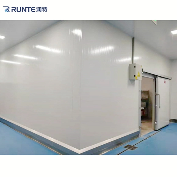 Fish Refrigeration Chamber Walk in Freezer Cool Room Cold Storage Room