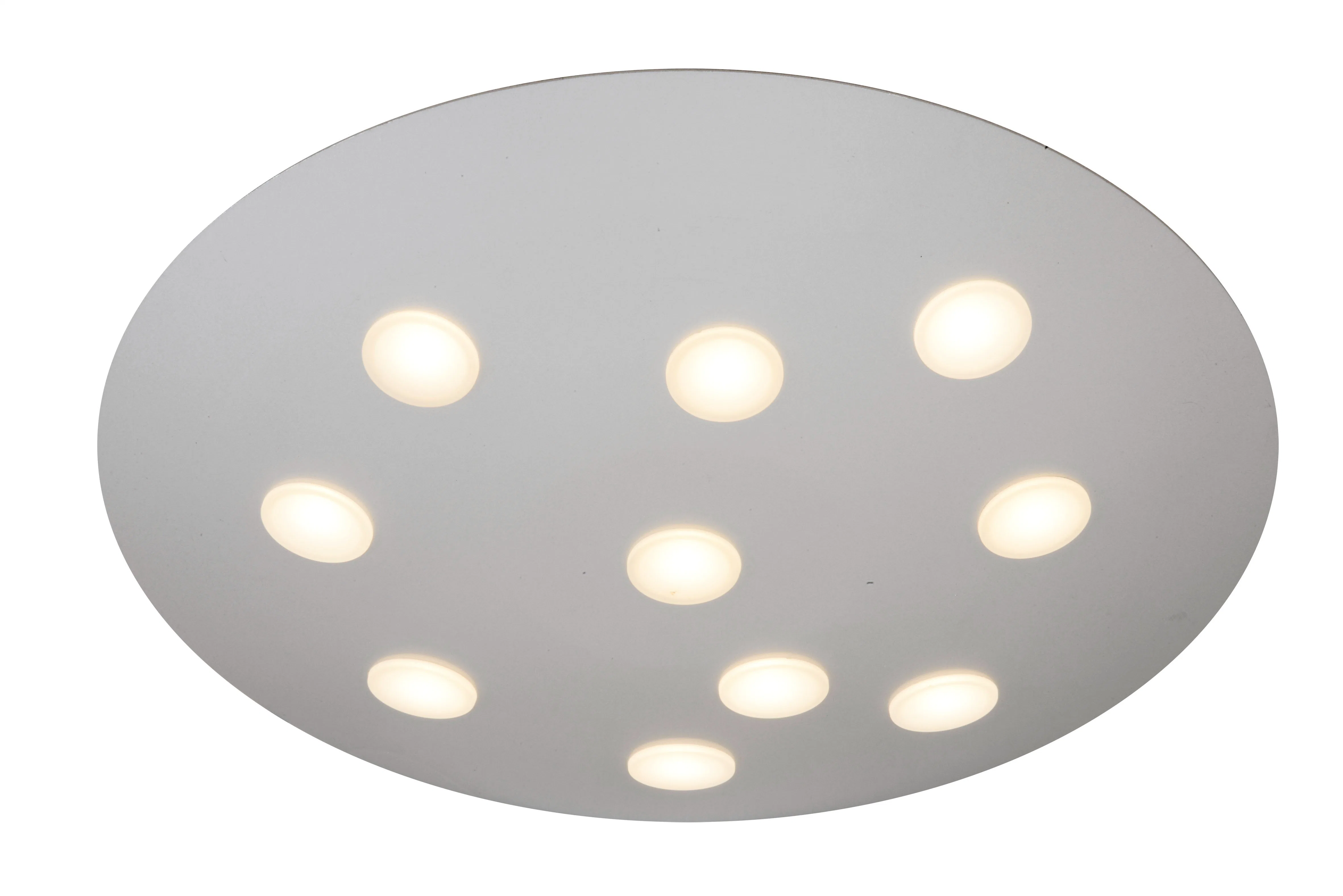 LED Ceiling Mounted Light Round Shape Wall Light Fixture for Wholesale/Supplier