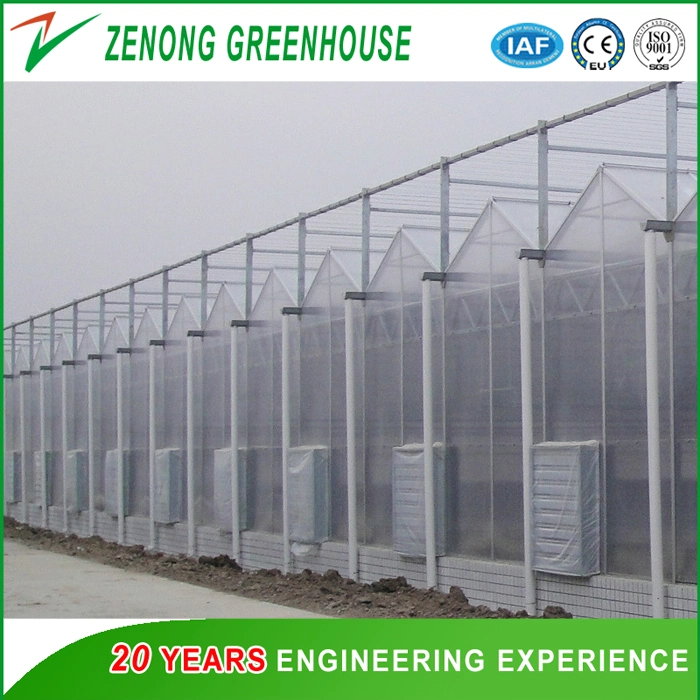 Intelligent Automatic Greenhouse Covered with PC Plate for Soil-Less Cultivation Equipped with Hydroponics/Substrate Planting System,