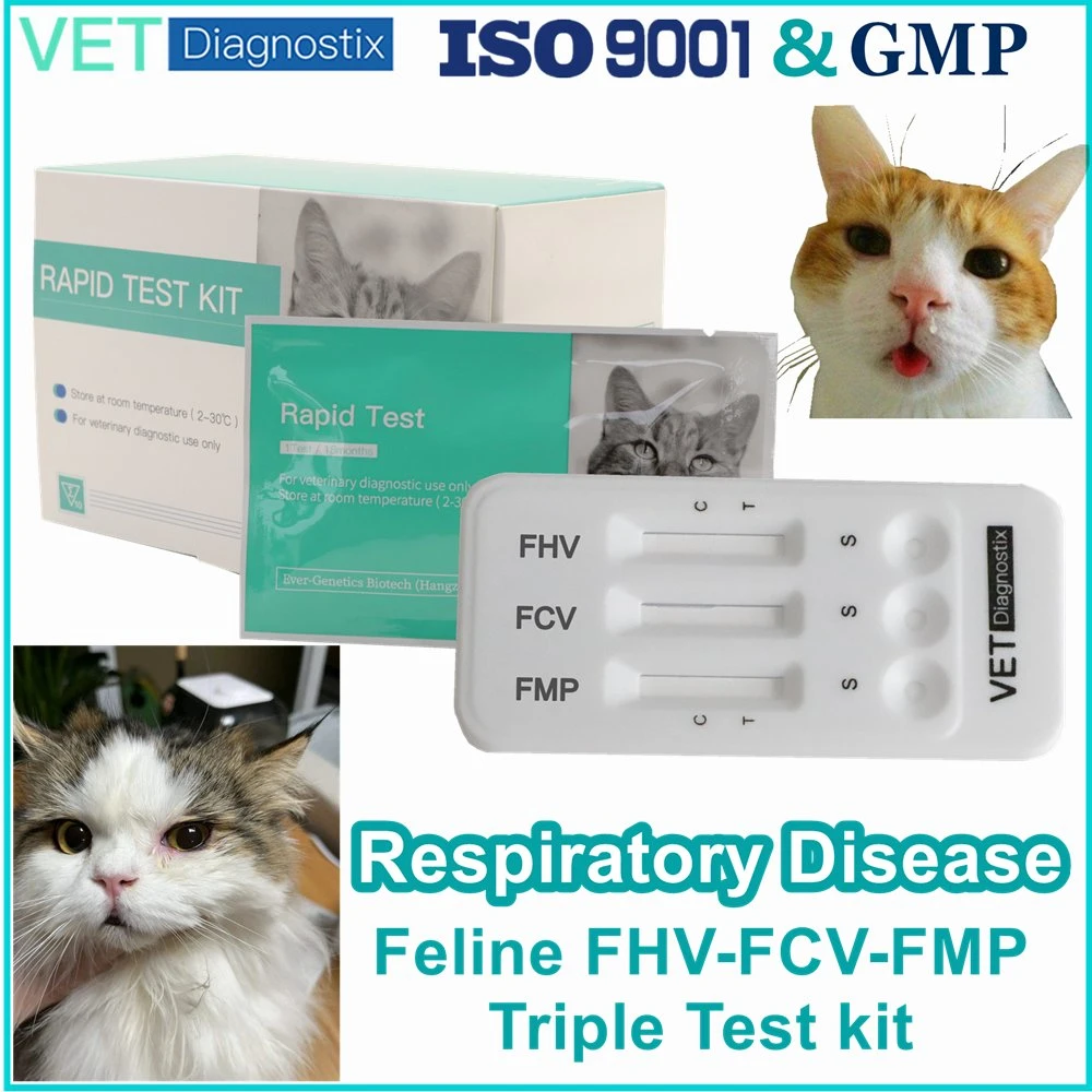 Cat Respiratory Disease Test Feline Fhv Fcv Fmp Triple Antigen Diagnostic Test