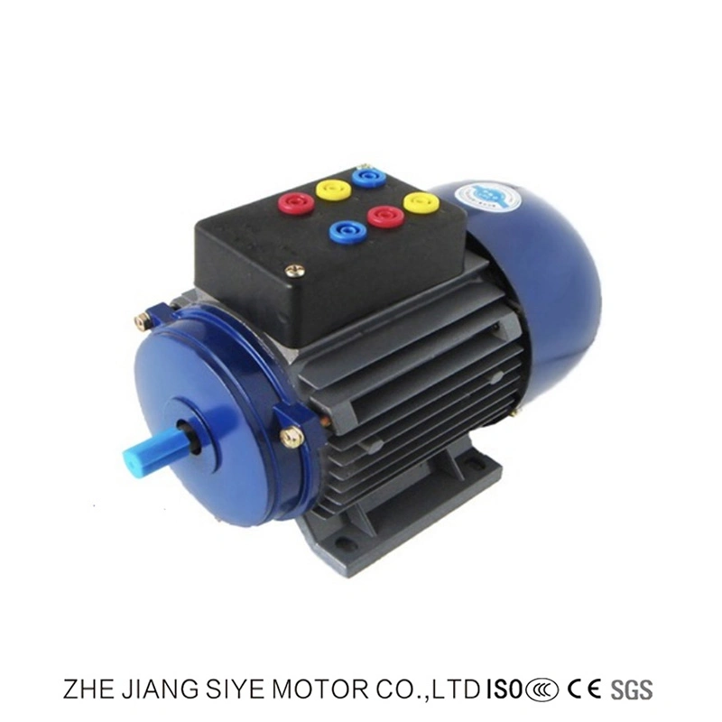 AC Single Phase Stepper Motors