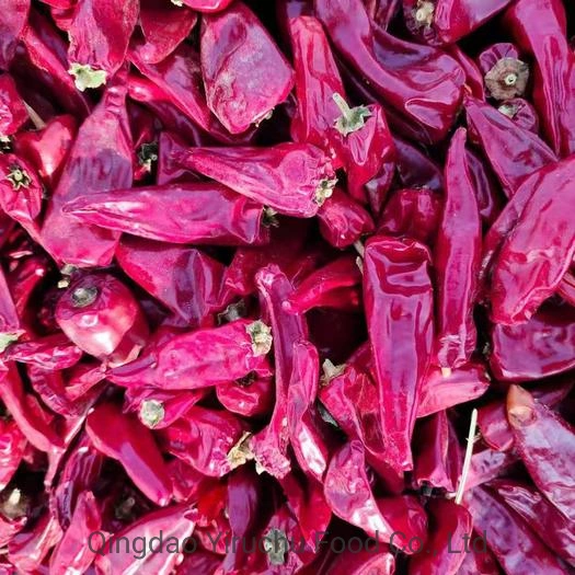 China&prime; S Best-Selling and Hottest Red Pepper