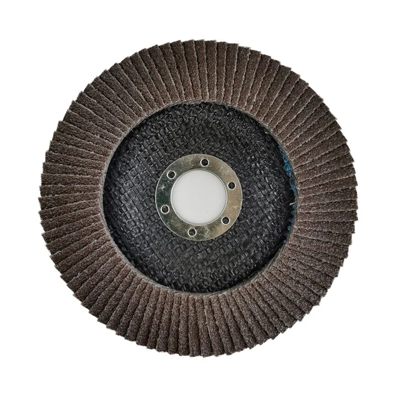 Abrasive Flap Disc Edelstahl 4 Zoll Flap Disc