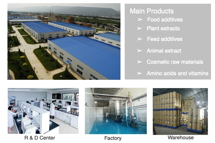 Matière première poudre Florfenicol cas 76639-94-6 Chine approvisionnement en usine avec Meilleur prix