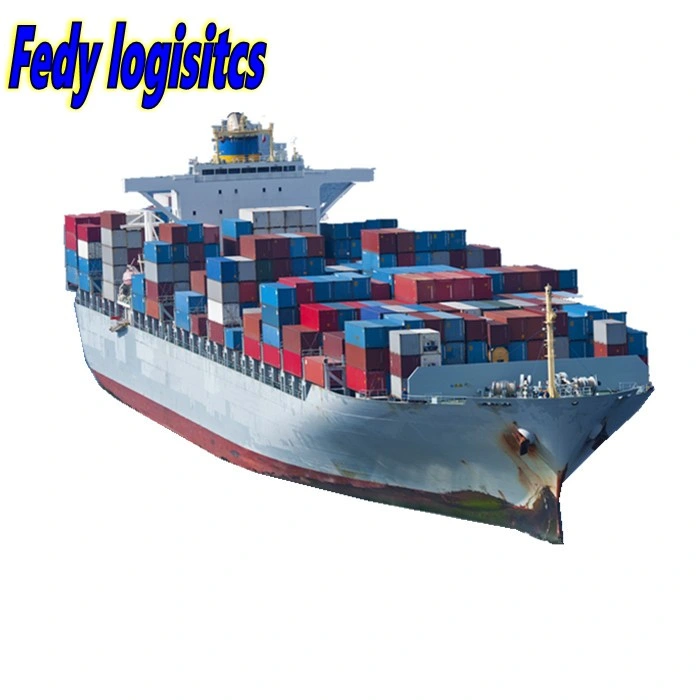 Professional Sea Freight Forwarder Agent Shipping From China to Colombia/Buenaventura, Guayaquil