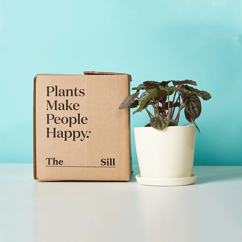 Custom Plant Shipping Packaging Boxes Potted Live Natural Plant Corrugated Packaging