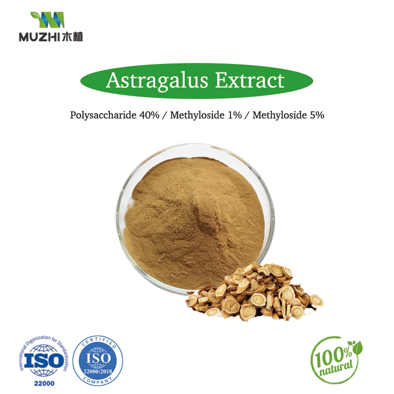 Extrato de Astragalus Methyloside 1% em pó