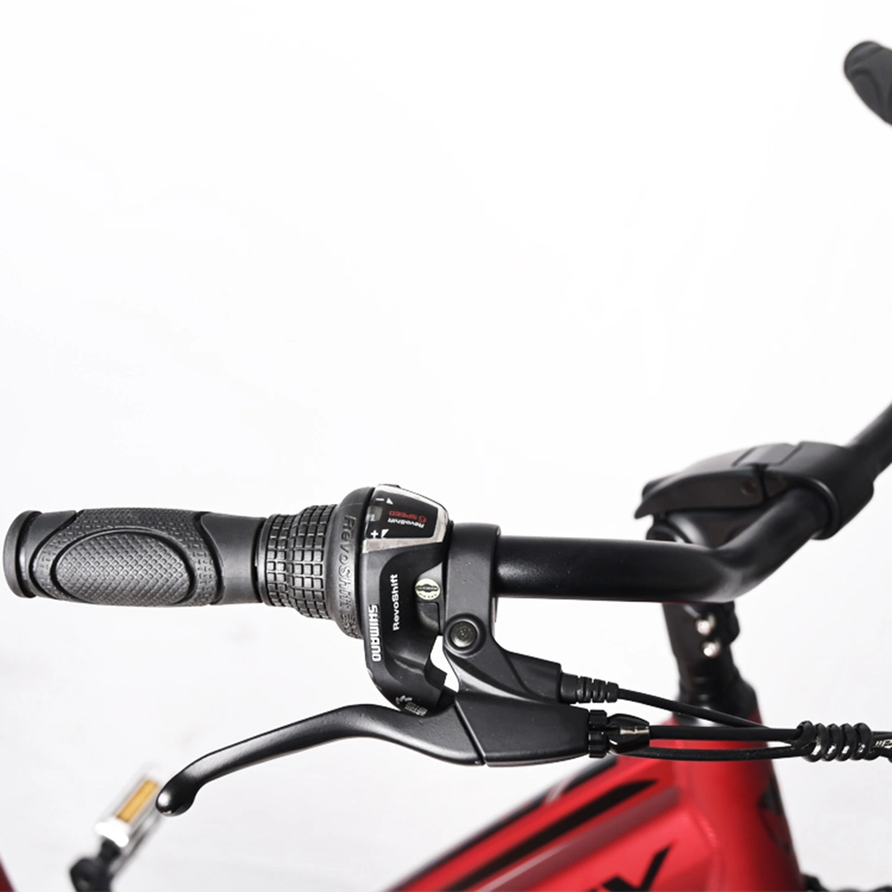 Supplier China Tianjin Woman Red Electric Bicycle