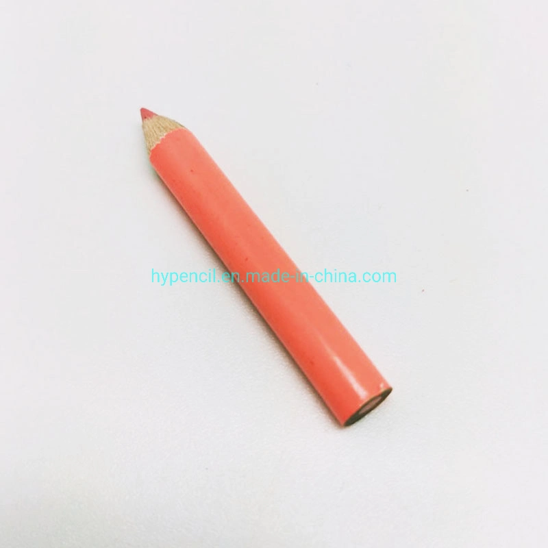 Sm5542-Promotion Gift Super Mini Color Pencil 24PCS in CD Case Promotion Pencil