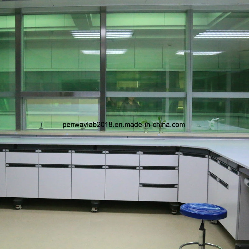 Phenolic Resin Lab Bench Top Chemistry Lab Supplies