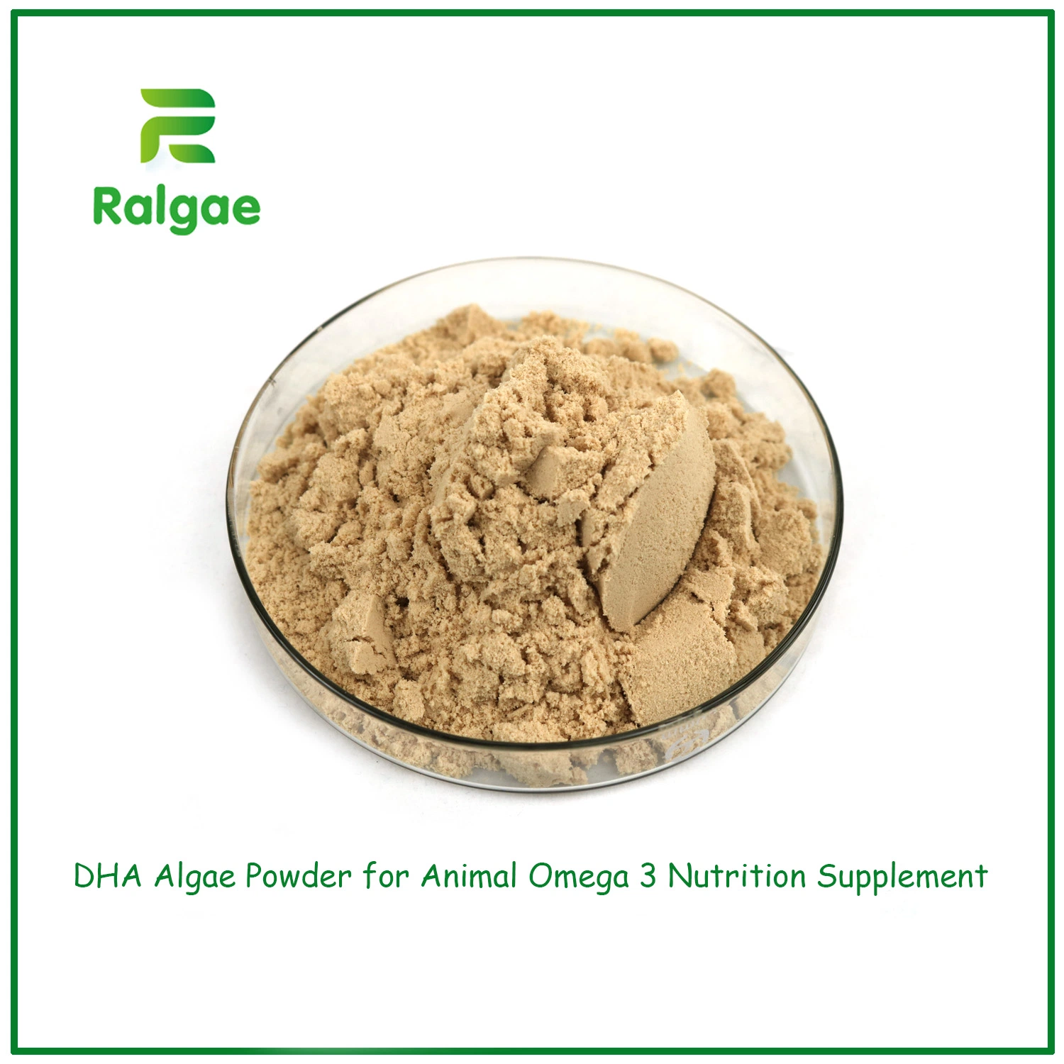DHA 18% Schizochytrium Powder Feed Grade High DHA for Animal Feed Meal CAS6217-54-5